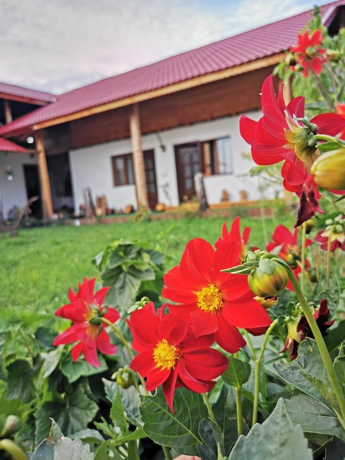 Villa Jugul Taranului Agropensiune Polovragi, Gorj Exterior foto