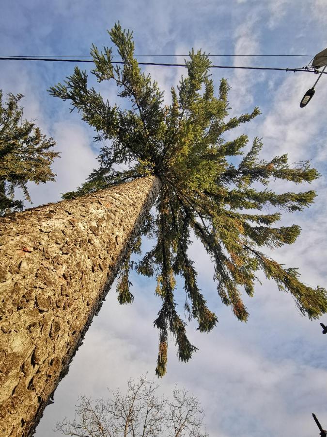 Villa Jugul Taranului Agropensiune Polovragi, Gorj Exterior foto